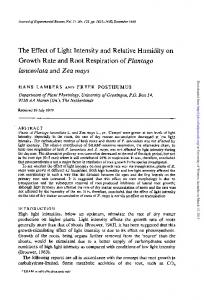 The Effect of Light Intensity and Relative Humidity on ...