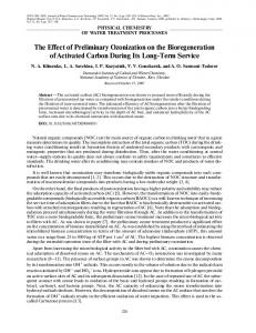 The Effect of Preliminary Ozonization on the ... - Springer Link