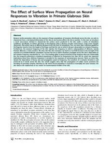 The Effect of Surface Wave Propagation on Neural ... - Semantic Scholar