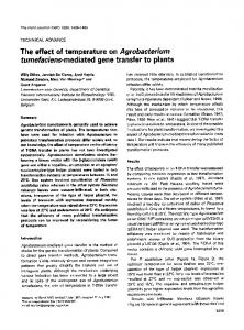 The effect of temperature on Agrobacterium ... - Wiley Online Library