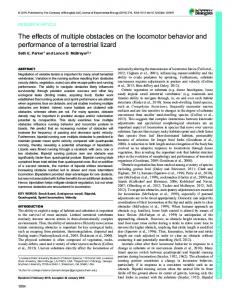 The effects of multiple obstacles on the locomotor behavior and ...