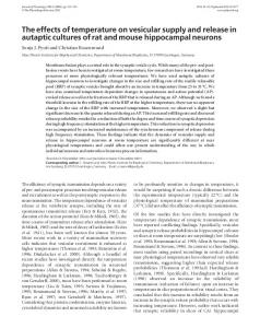 The effects of temperature on vesicular supply ... - Wiley Online Library