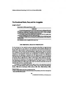 The Emotional Brain, Fear, and the Amygdala - Brainstem Wiki