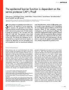 The epidermal barrier function is dependent on the serine ... - CiteSeerX