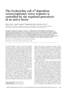 The Escherichia coli - Genes & Development