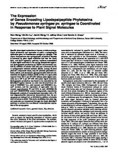 The Expression of Genes Encoding Lipodepsipeptide ... - CiteSeerX