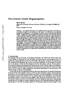 The Galactic Center Magnetosphere