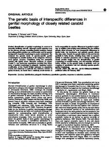 The genetic basis of interspecific differences in genital ... - Nature