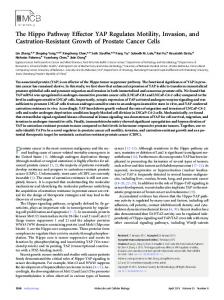 The Hippo Pathway Effector YAP Regulates Motility, Invasion, and ...