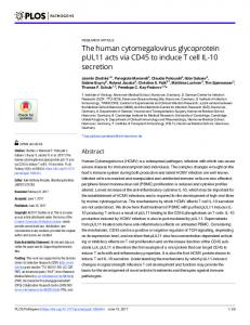 The human cytomegalovirus glycoprotein pUL11