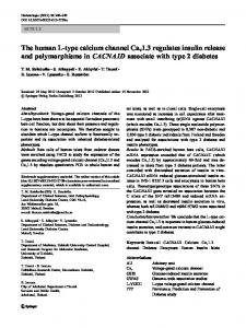 The human L-type calcium channel Cav1.3 regulates ... - Springer Link