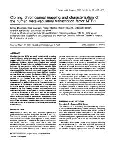 the human metal-regulatory transcription factor MTF-1