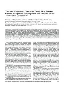 The Identification of Candidate Genes for a Reverse Genetic Analysis ...