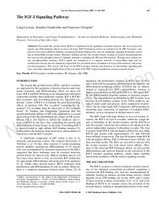 The IGF-I Signaling Pathway