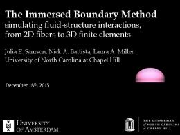 The Immersed Boundary Method!