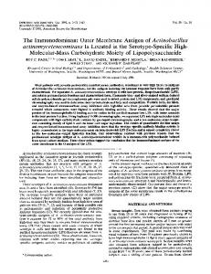 The Immunodominant Outer Membrane Antigen of Actinobacillus ...