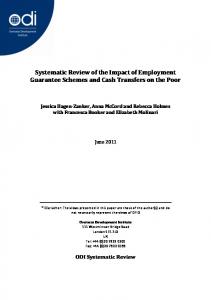 The impact of employment guarantee schemes and cash transfers on ...