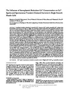 The Influence of Sarcoplasmic Reticulum Ca2 ... - BioMedSearch