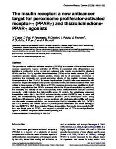 The insulin receptor - CiteSeerX