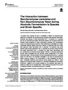 The Interaction between Saccharomyces