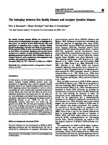 The interplay between Src family kinases and receptor tyrosine kinases