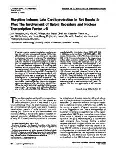 The Involvement of Opioid Receptors and Nuclear ... - Semantic Scholar