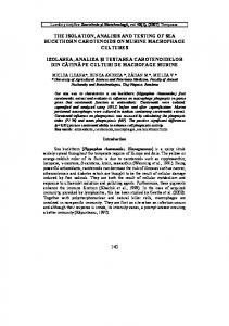 the isolation, analisis and testing of sea buckthorn ...