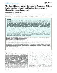 The Jaw Adductor Muscle Complex in Teleostean Fishes - CiteSeerX