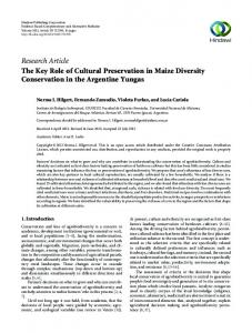 The Key Role of Cultural Preservation in Maize Diversity Conservation ...