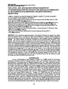 the litho-, bio- and magnetostratigraphy