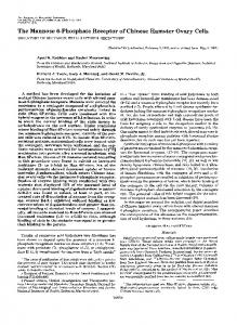 The Mannose 6-Phosphate Receptor of Chinese Hamster Ovary Cells