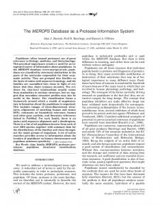 The MEROPS Database as a Protease Information System