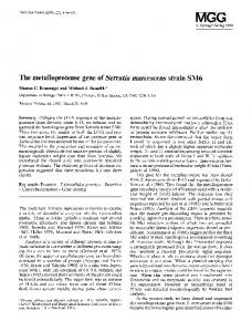 The metalloprotease gene of Serratia