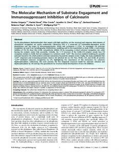 The Molecular Mechanism of Substrate ... - Semantic Scholar