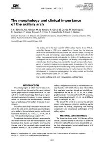 The morphology and clinical importance of the axillary arch