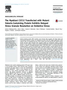 The Myoblast C2C12 Transfected with Mutant Valosin-Containing ...