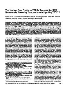 The Nuclear Pore Protein AtTPR Is Required for ... - Plant Physiology