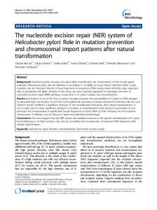 The nucleotide excision repair - BioMedSearch