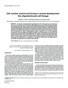 the oligodendrocyte cell lineage