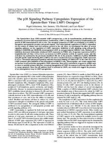 The p38 Signaling Pathway Upregulates ... - Journal of Virology