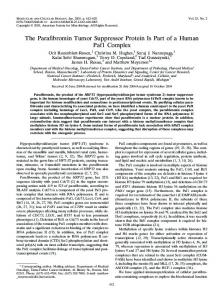 The Parafibromin Tumor Suppressor Protein Is Part of a Human Paf1 ...