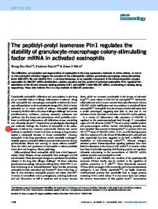 The peptidyl-prolyl isomerase Pin1 regulates the stability of ... - Nature