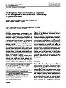 The Peripheral Neuronal Phenotype is Important in the ... - Springer Link