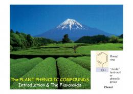 The Plant Phenolic Compounds