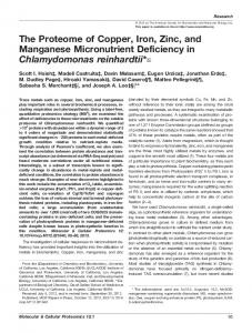 The Proteome of Copper, Iron, Zinc, and