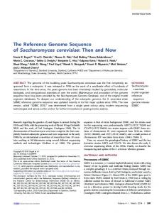 The Reference Genome Sequence of