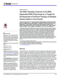 The RNA Template Channel of the RNA-Dependent RNA ... - PLOS