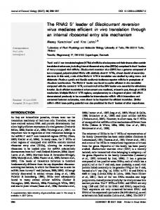 The RNA2 5! leader of Blackcurrant reversion virus ... - Semantic Scholar