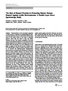 The Role of Enamel Proteins in Protecting Mature Human Enamel ...