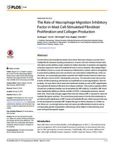 The Role of Macrophage Migration Inhibitory Factor in Mast Cell ...